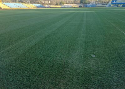 Stadionul 1 Mai, Slobozia